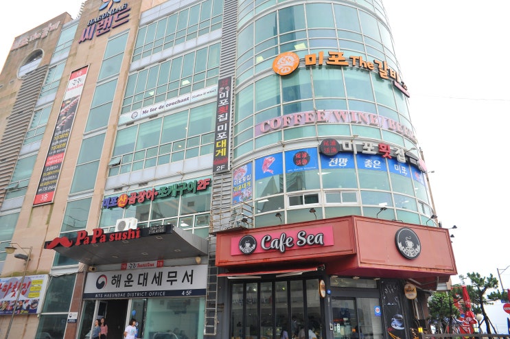  해운대 회집 미포횟집에서 대게코스 먹었답니다