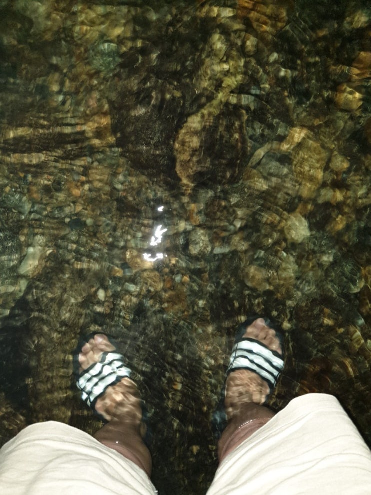  더위를 잊을 수 있는 여름휴양림추천!집다리골자연휴양림! 여름계곡추천!숲속의집-참빗살(숯불구이 마스터!)