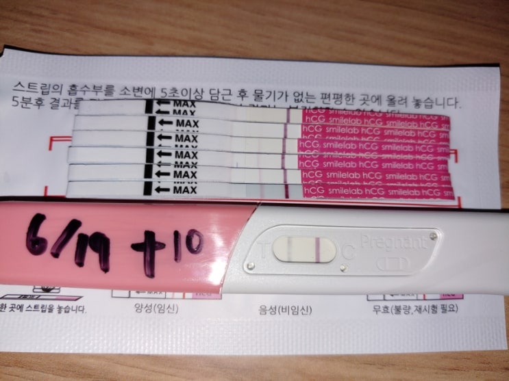  임밍아웃