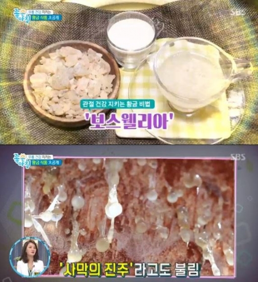 기사 스크랩)'사막의진주' 보스웰리아, 맛도 건강에도 좋다… 효능은? 기사 스크랩)'사막의진주' 보스웰리아, 맛도 건강에도 좋다… 효능은?