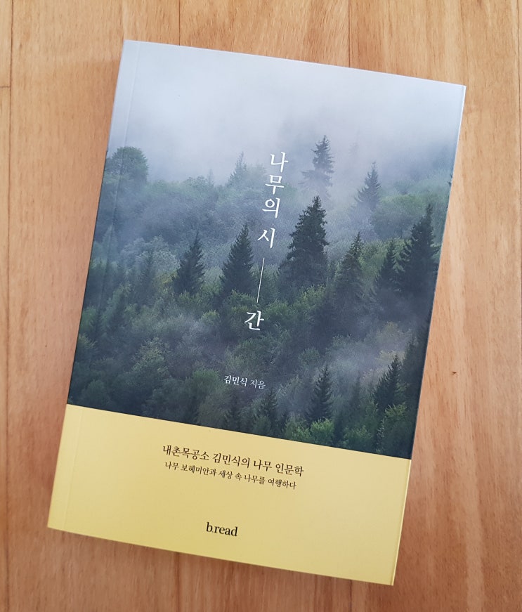 김민식 ‘나무의 시간’을 읽고