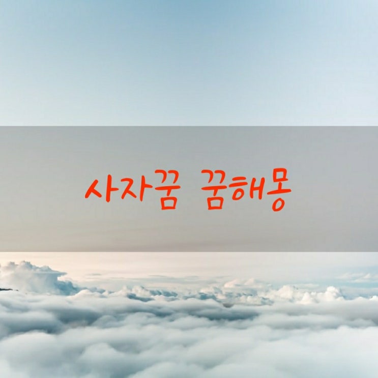  사자꿈 꿈해몽 사자관련