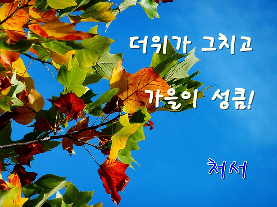  24절기중 14번째, 더위가 그치고 가을이 성큼 다가온다는 처서뜻