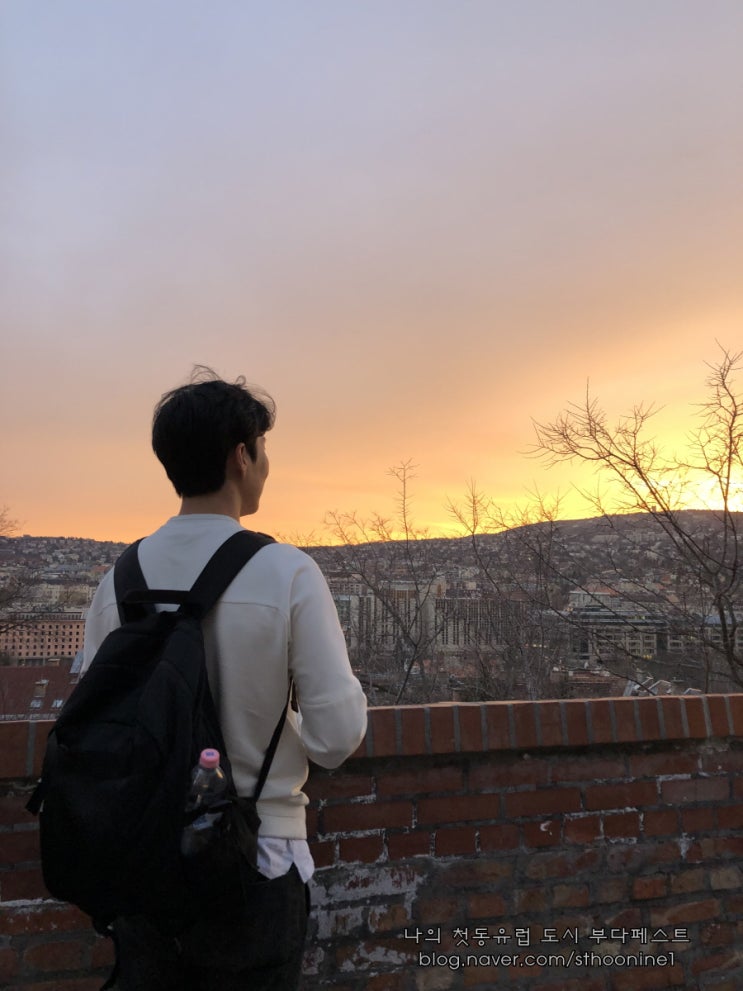  부다페스트 어부의요새 야경맛집 그리고 부다페스트맛집 멘자에서 근사하지만 저렴한 저녁