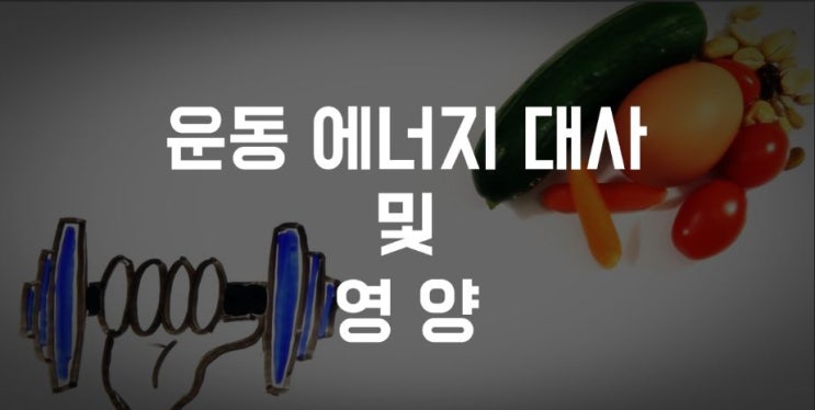  운동 에너지 대사 및 영양섭취