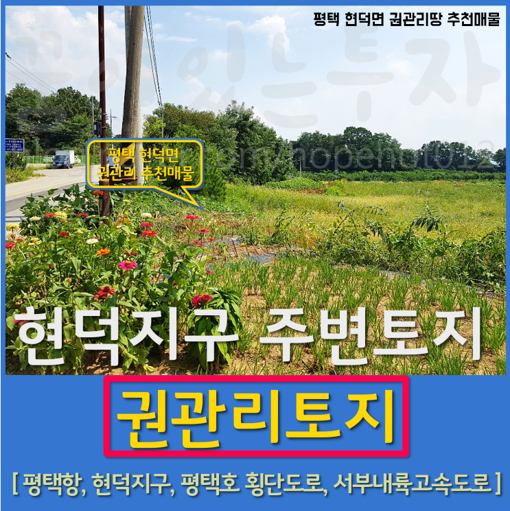 평택 현덕면 권관리땅 추천 매물 (현덕지구, 평택항, 평택호 관광단지, 서부내륙고속도로 인근 권관리 토지, 평택땅)