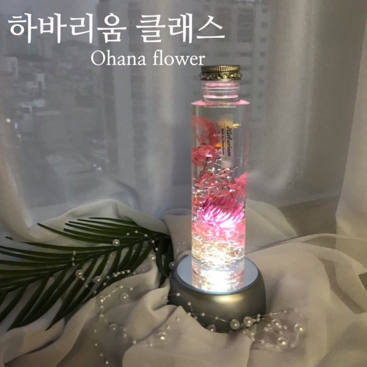  [부산프리저브드플라워]  하바리움 원데이클래스 / 부산 수영 광안 플라워 스튜디오 오하나플라워 : 키즈클래스, 플라워레슨, 취미클래스
