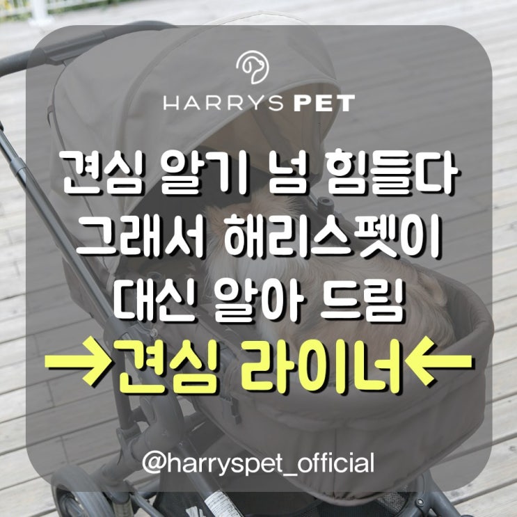  울산24시간동물병원 방지를 목표한 완전정벌 가이드라인