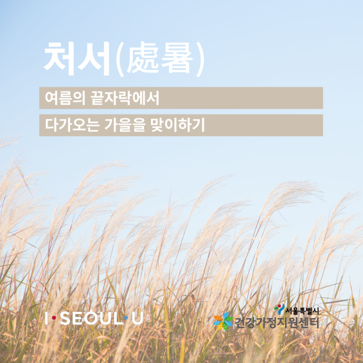  처서(處暑), 여름의 끝자락에서 다가오는 가을을 준비하기
