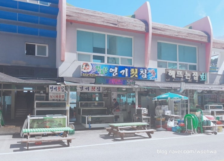  삼척여행/강원도삼척물회맛집:) 장호항 영기횟집에서 물회랑 회덮밥으로 아침식사했어요