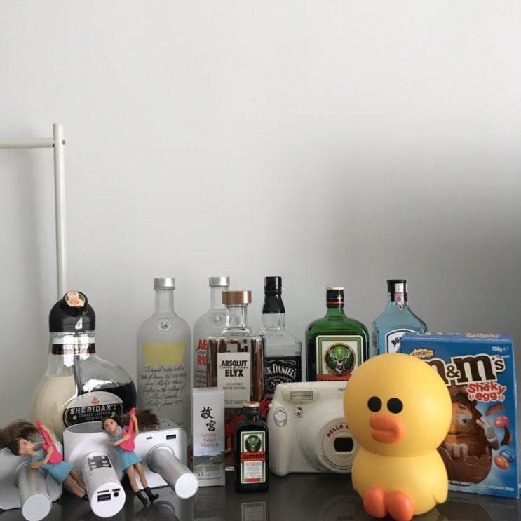  2019.06.29 [말레샤 95 공주님들 입성날 ॢ•ᴗ•ॢ ]