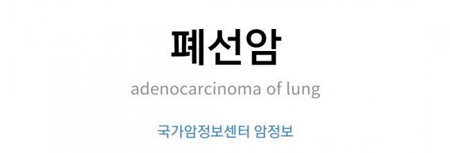  폐선암/ 일반암/소액암?