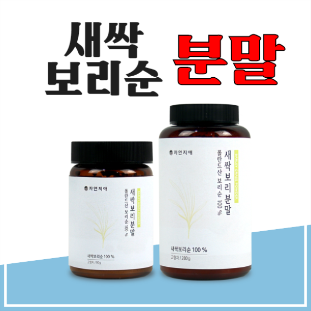  새싹보리분말 요즘 왜이렇게 핫한걸까요??