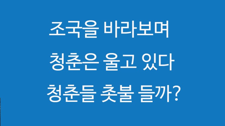  조국 딸 장학금을 보며 청춘들은 울고있다. 청춘들 촛불들까? 촛불집회