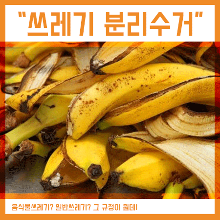  음식물쓰레기 일반쓰레기 분류기준 처리방법은?