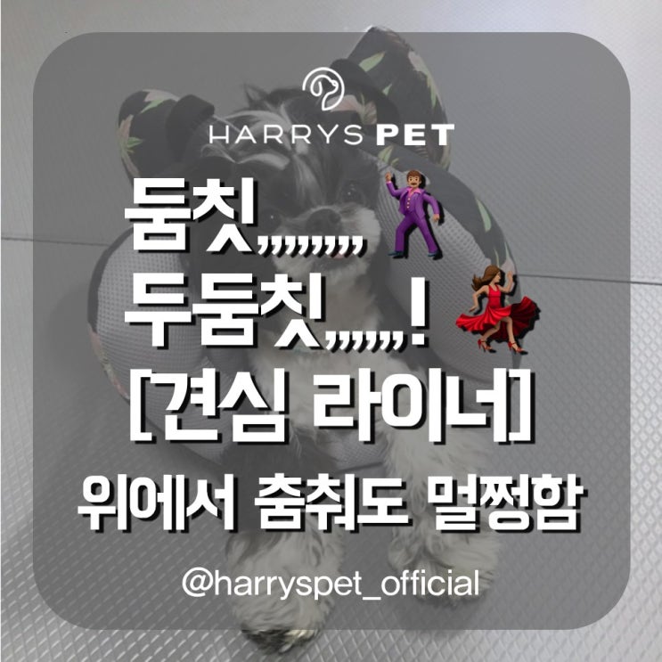  영등포애견용품 견주의 심리를 사로잡은 라이너 베개 사연