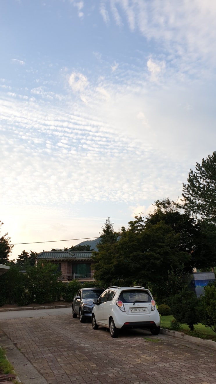  20190823금