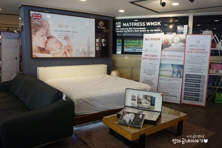  청주가구 청주수입메트리스 만나볼수  있는 WMDK청주점