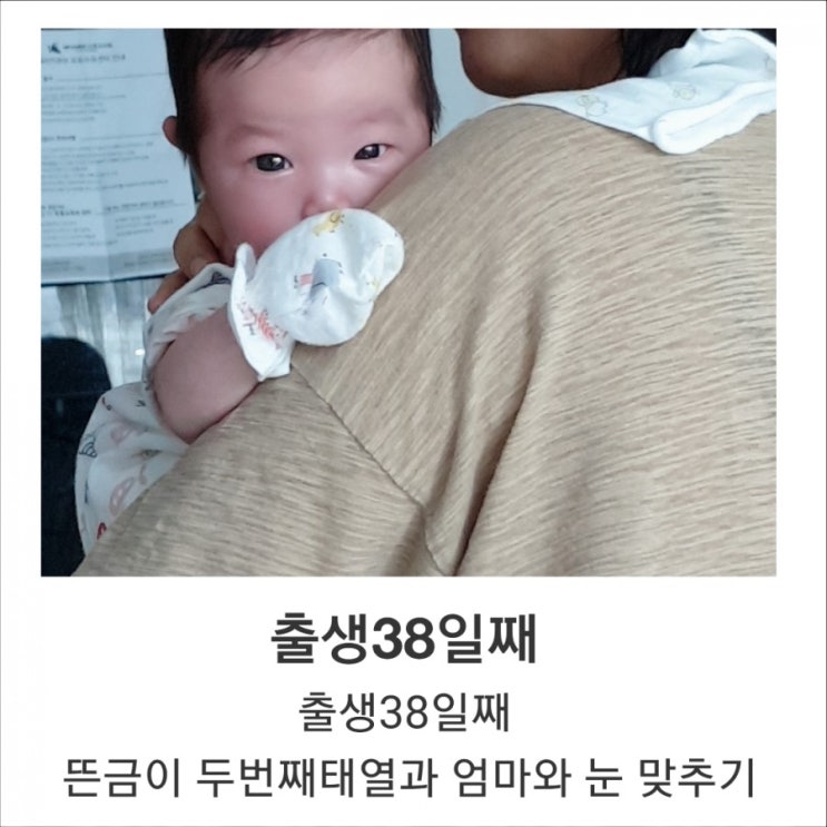  출생38일째 뜬금이 두번째태열과 엄마와 눈 맞추기