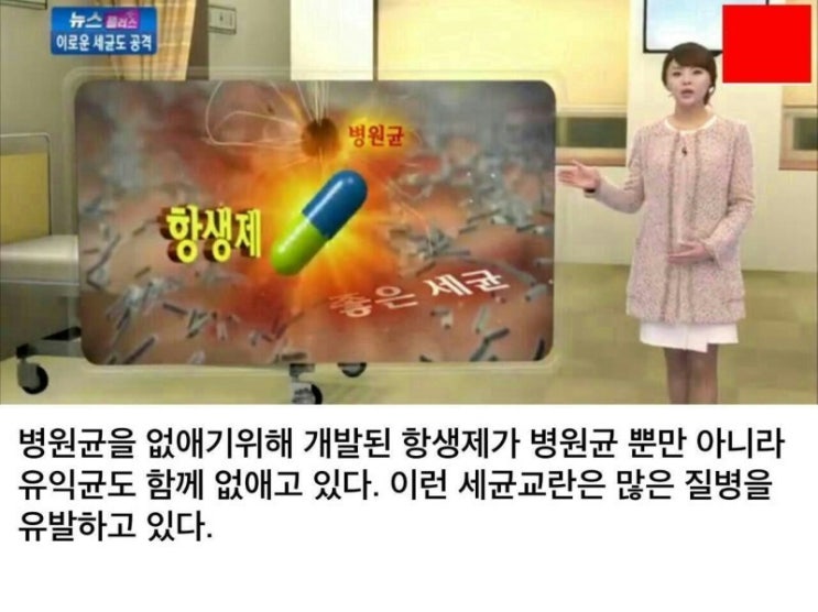  항생제 과다 복용에 따른 부작용