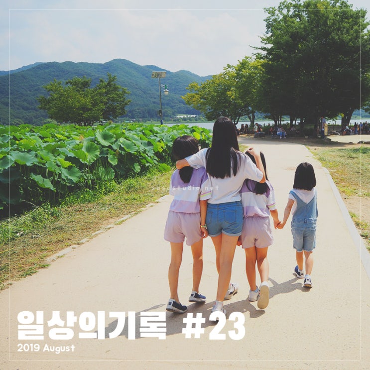  5dmark4/PEN-F) Aug 23,2019 - 일상 다이어리