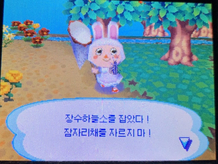  [도화마을 놀동숲]여름 곤충 채집/상어를 잡았다/구리구리 사진... 그리고 론다와의 이별...