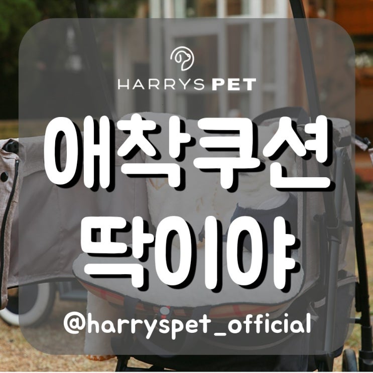  애완동물소파 애견이 기뻐하는 미친 존재감!