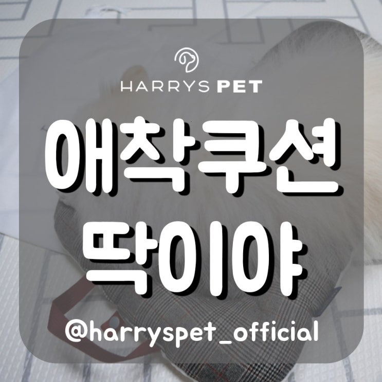  개모차 폭신푹신함 완전정벌 가이드