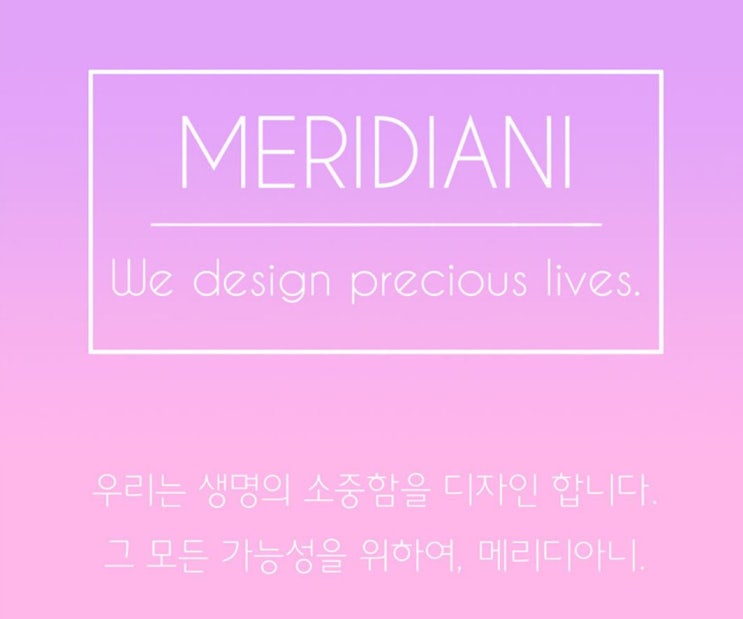  유기견ㆍ유기묘 후원 업체 '메리디아니(MERIDIANI)' 후원 후기~!