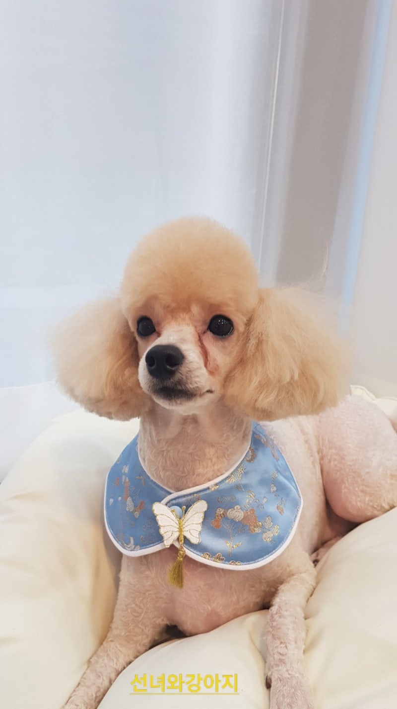 사진 4