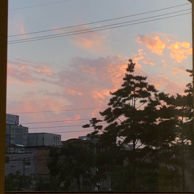  보고싶은 •••