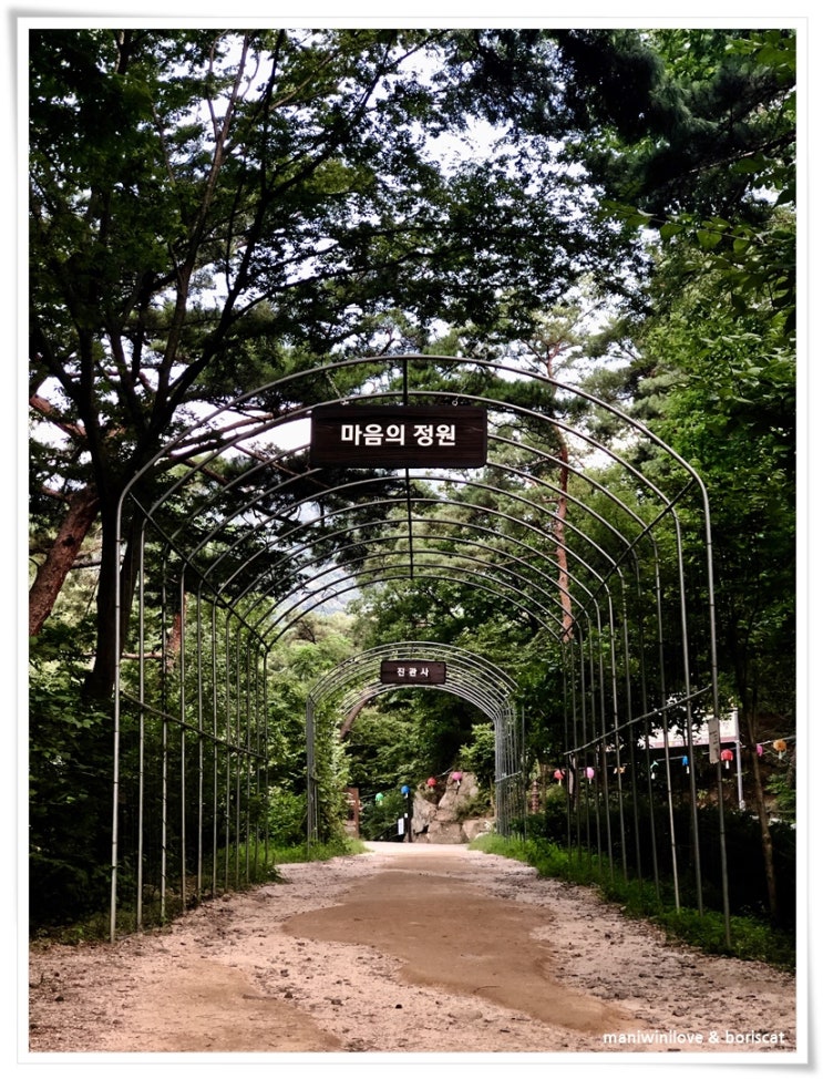  퇴근길에 진관사...