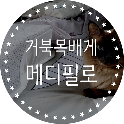  마약배게로 유명한 거북목배게 메디필로 베개