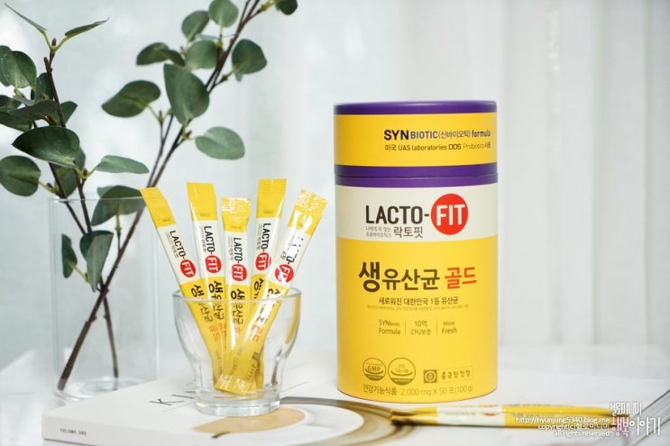  홈앤쇼핑 프로모션 락토핏 준비하세요
