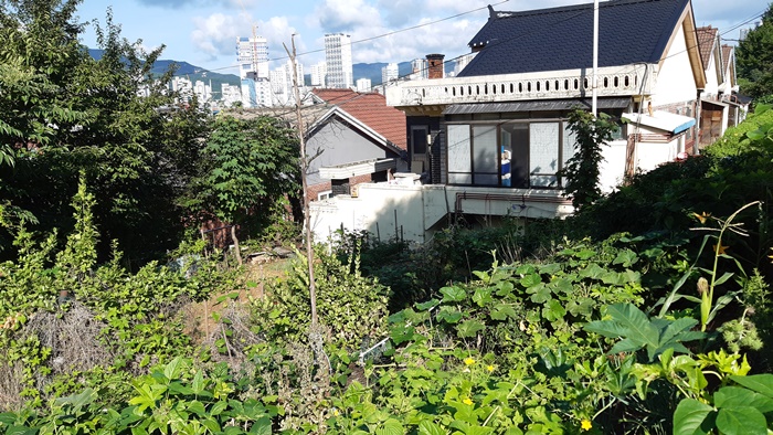  이사하기전 우리동네 풍경