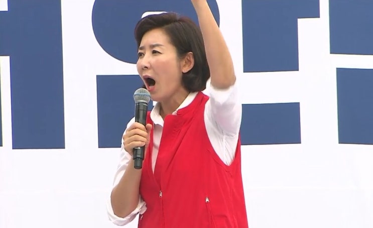  나경원 광화문 집회 연설 전문!(살리자 대한민국)