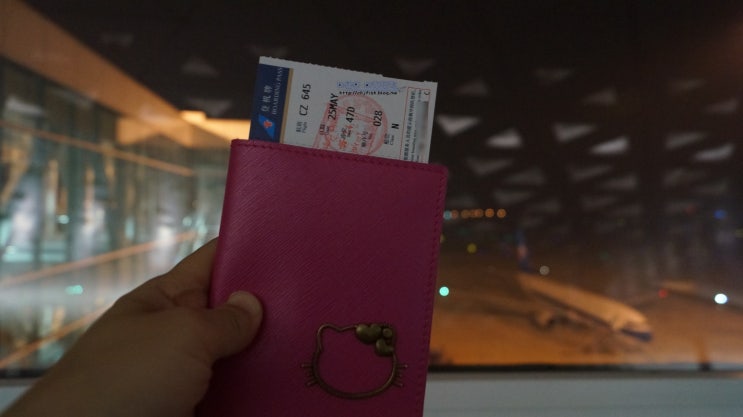 중국남방항공 타고 우한에서 로마로!