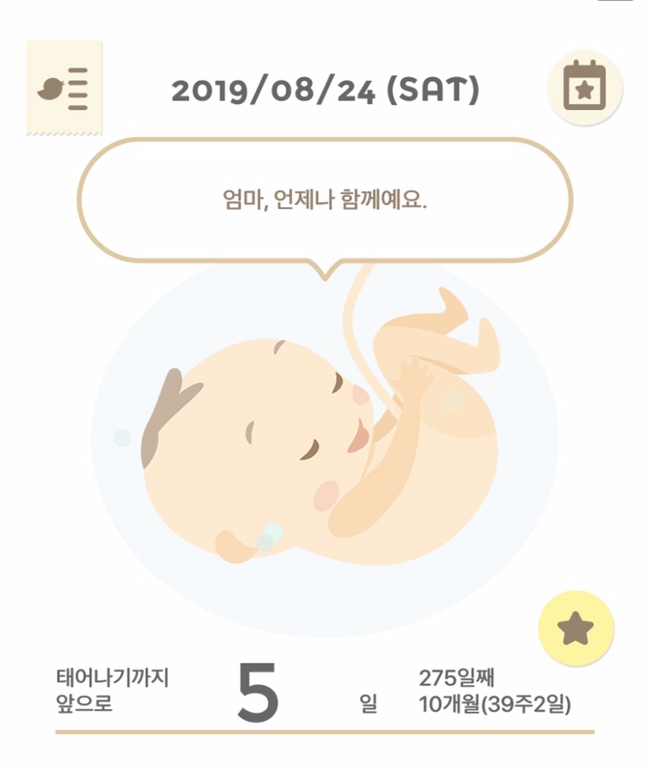  39주2일  / D-5 임산부일상. 기다리고 또 기다림의 시간들
