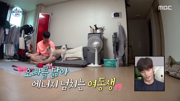  나혼자산다 양희와 성훈님편을 보고.
