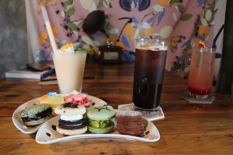 함덕카페 꽃카롱 함덕마카롱맛집 마카롱이 달지않고 맛있네요