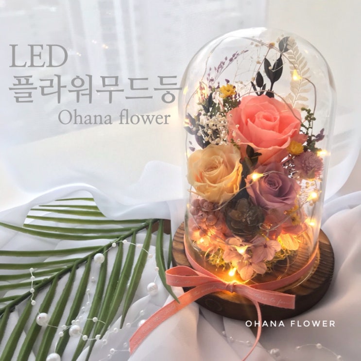  [부산프리저브드플라워]  LED플라워유리돔/무드등 : 부산 수영 광안 프리저브드플라워 스튜디오 오하나플라워