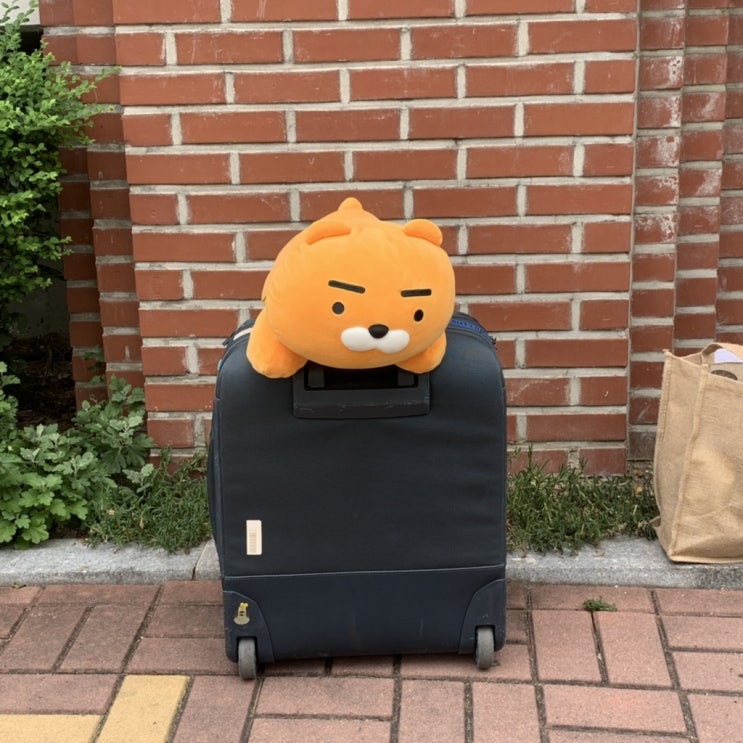 3박4일 모녀여행 (강화도,인천,양주,서울)