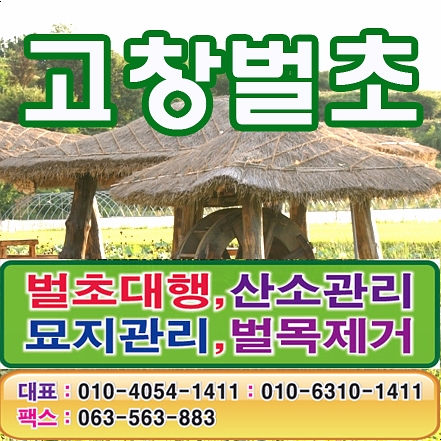  벌초 고향에 계시 부모님 인력 도와 드리기