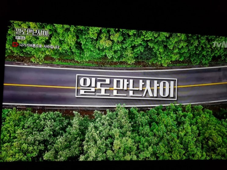  tvN 일로만난사이 첫방송 촬영지 제주도 표선면 가시리 모루농장 유재석 이효리 이상순  정글이 된 녹차밭 살리기