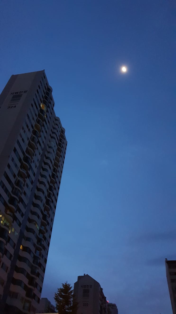  2019.08.24 새벽풍경.