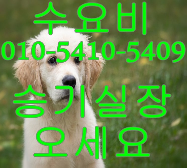  사라있네 가라오케 여행기를 정리