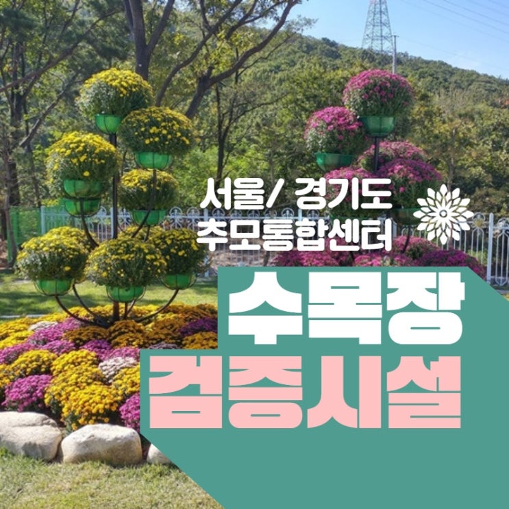  안성수목장 알아볼까요?