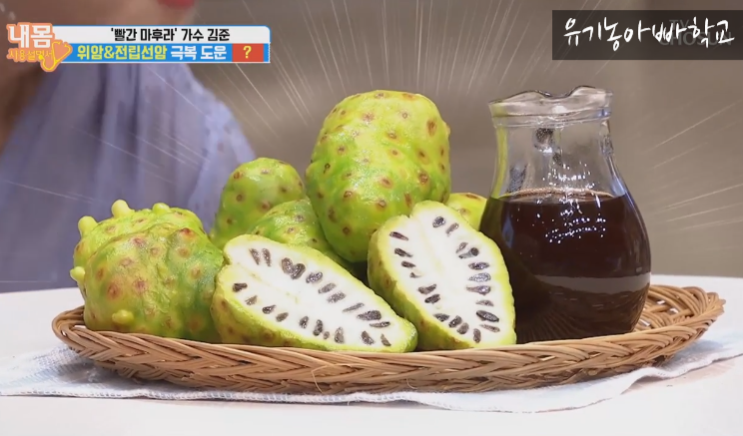  암 예방에 좋은 노니 효능 핵심 성분 3가지