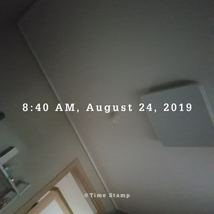 190824 취준일기 190824 취준일기