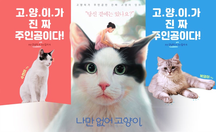 [한류ibc] 2019년 한국영화 총 정리[111] 나만 없어 고양이. Hello, My Cat, 2019